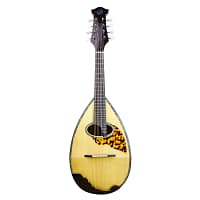Offer Japanese Ebony Mandolin Instrument